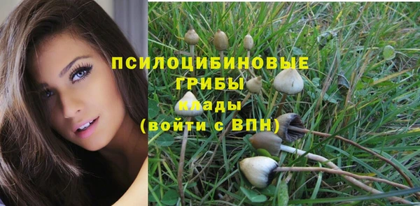 трава Верхнеуральск