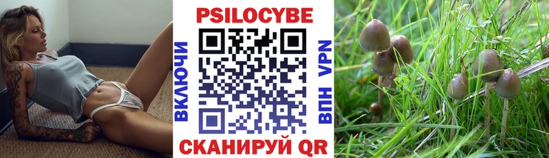 Псилоцибиновые грибы мицелий  Первоуральск 